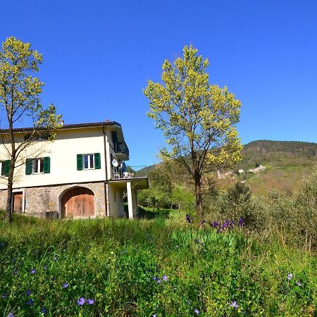 Spacious Home Surrounded By Nature Sesta Godano エクステリア 写真