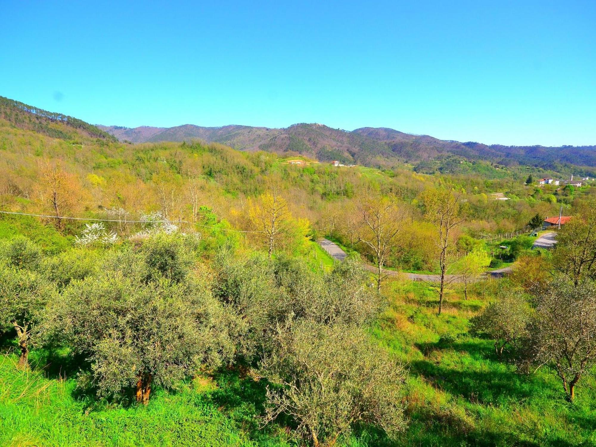 Spacious Home Surrounded By Nature Sesta Godano エクステリア 写真